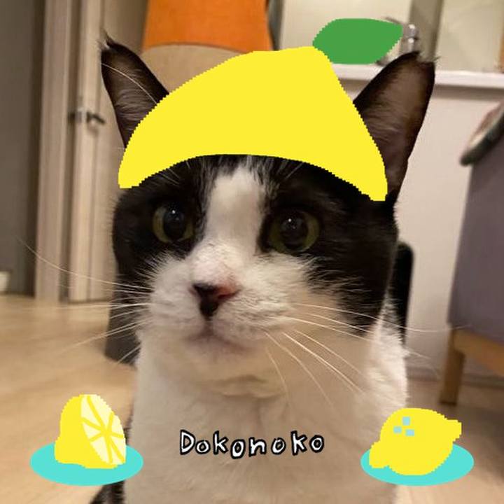 D285697c 6528 4063 9da4 10b7c289c6bc 1741091612795