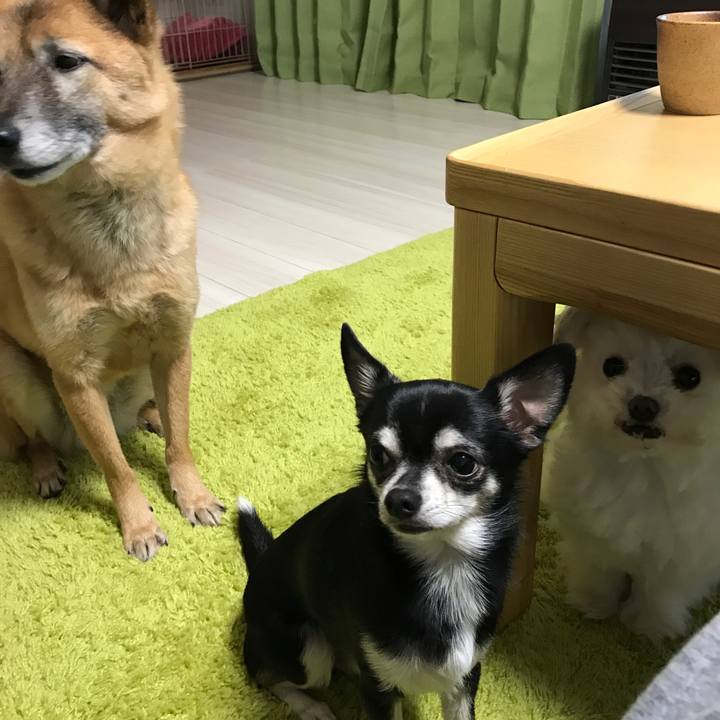 D285931f d603 475d b319 1f5959ccac73 1514622655156