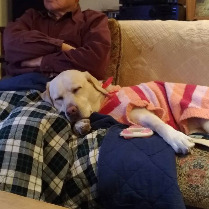 D285a19b 85af 40c7 b3d9 76ac04a3a643 1546172740580