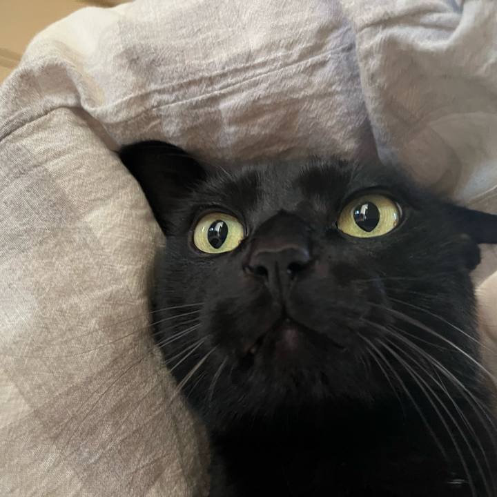 D285c957 329b 4961 9694 8cfc97015b55 1733622072756