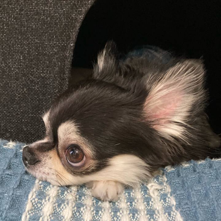 D285d6a9 3157 4e84 9423 e57874ec7be7 1686496368111