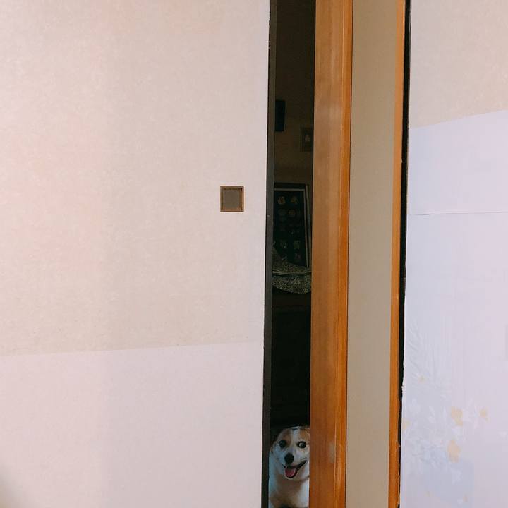 D285d9d2 5878 47c0 b44d 114ef8a5941c 1531756507720