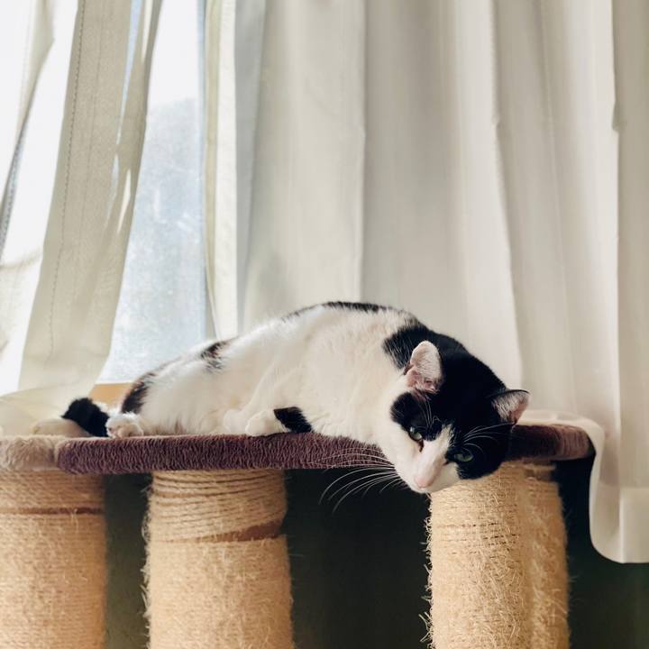 D285ed09 47c7 46d7 90b4 032f069a7a8c 1614735449685