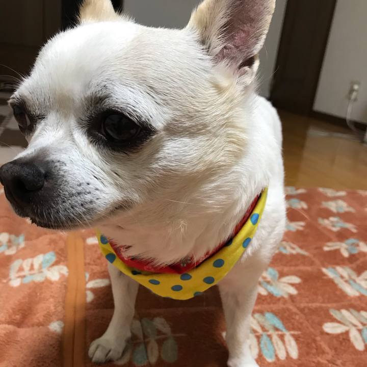 D2860260 494b 45bd ba37 63d837a80e40 1557105375952