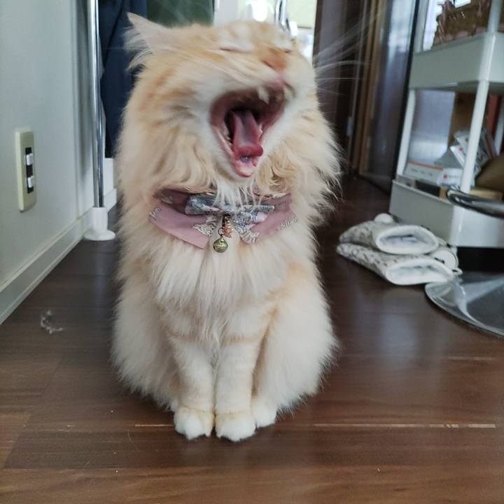 D2861565 4381 4b7a b6cb a74b3c837588 1719818736061