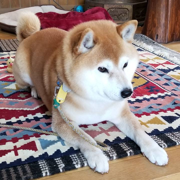 D2864277 3114 4bfd b8c0 7e00676db0f7 1554256781007