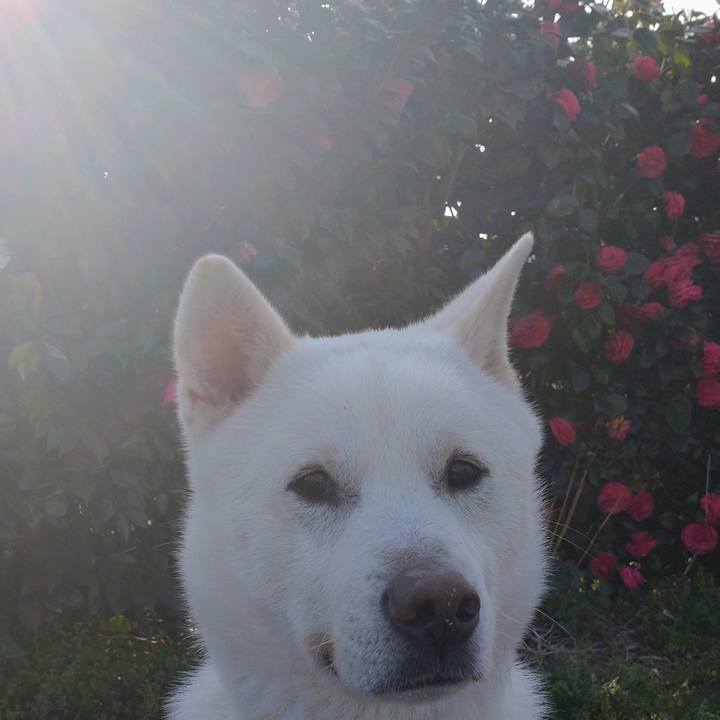 D2864656 8cad 41c8 b69c a9368b7f615a 1649769181967