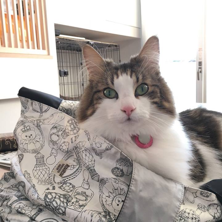 D28649ff 3e2d 4ca7 81a4 3f24b8c10aa8 1513845395412