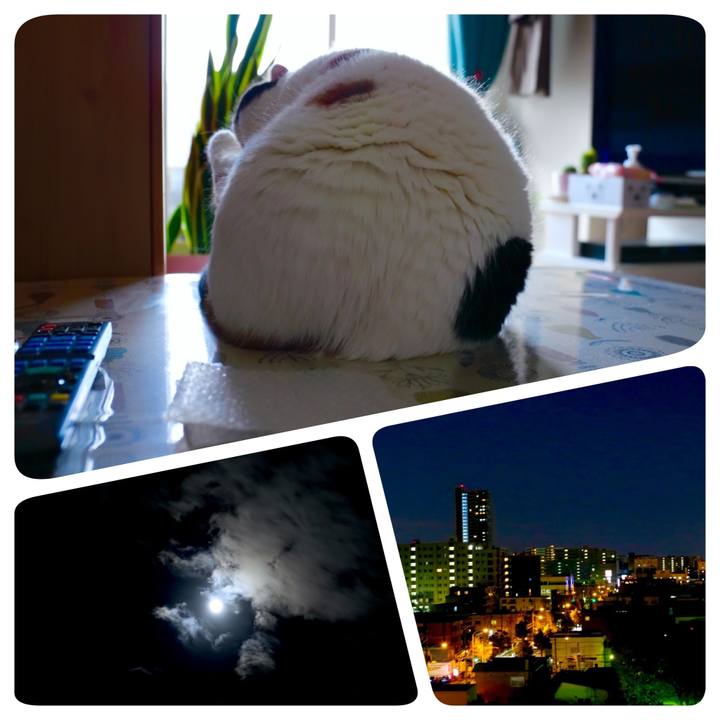 D28664c5 9028 4594 9aa0 685406f7f8fb 1573557807635