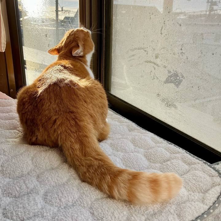 D2866f52 eadb 40fe 8392 6024a0517114 1733094746132