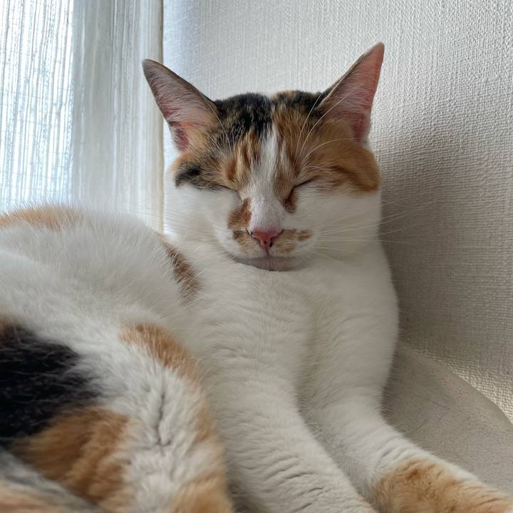 D286790d a20e 471f 93e5 f277f520ea2e 1623559079562