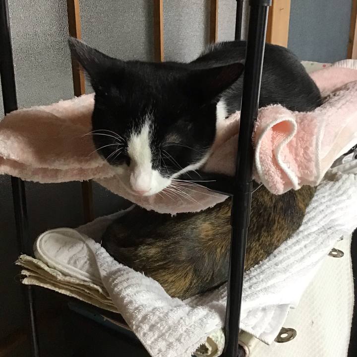 D2869027 5631 4670 a65f a3a158fe7382 1634118383195