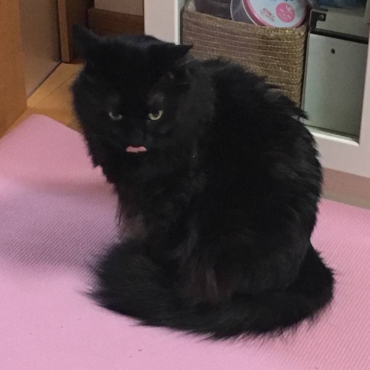 D2869ba6 64b9 4f87 9e01 46fce84c7b56 1528387318008