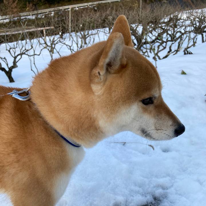 D286c341 1440 4851 8155 78b4af44bdc0 1644218933738