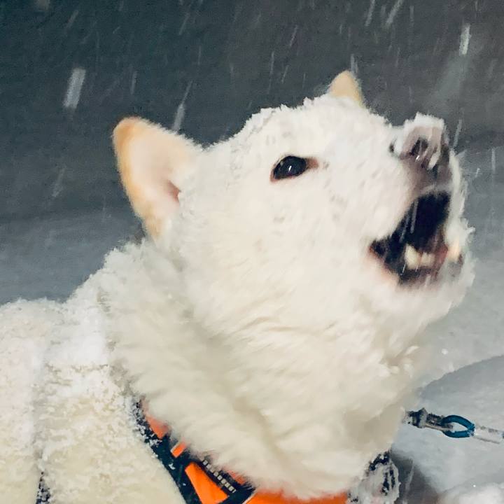 D286d9dc 98c0 4ab7 9ee7 58058654ea17 1673907878933