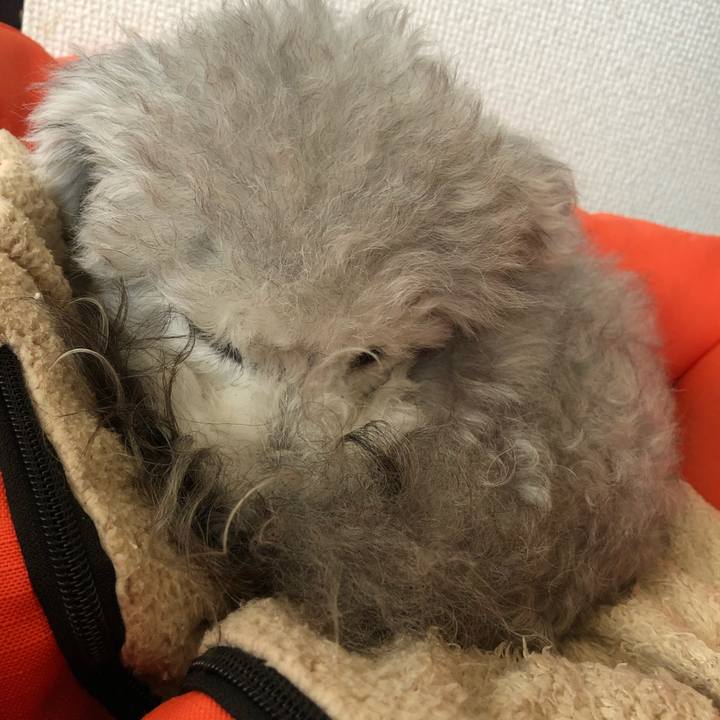 D286e231 b315 46f1 b7a9 2d68d386f1f6 1574299367830