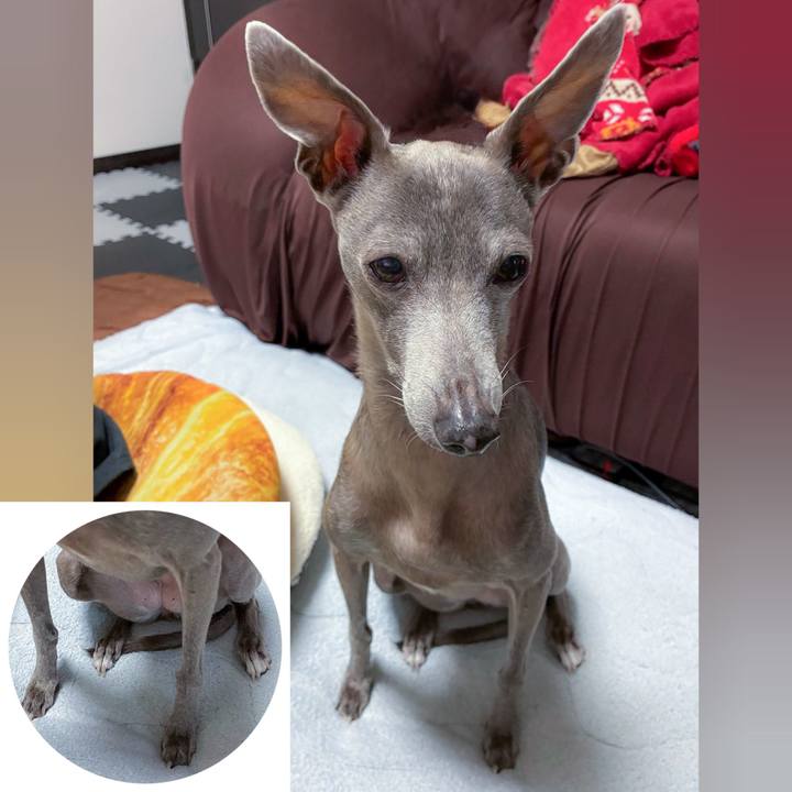 D286f85c 983b 4706 ab6f 7cdf78578a70 1768823621875