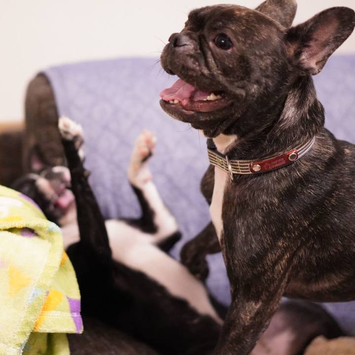 D2871145 20b2 4ac8 b53a 95154b5fe4f0 1551176557068