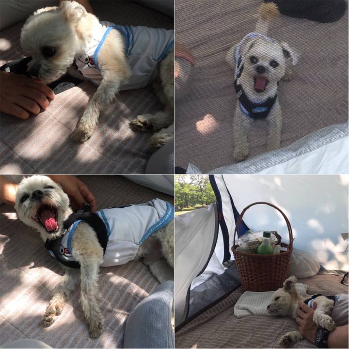 D2872610 f9c3 4407 ba19 577d1a4b17b1 1525509272478