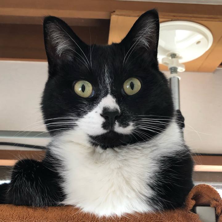 D28731f4 b0ed 43df a802 fc89a3e72c36 1646191581014