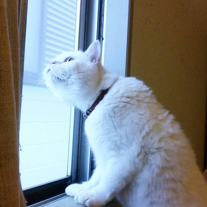 D287650b acd7 48d2 92bb bf85bacc2b6c 1510181387695