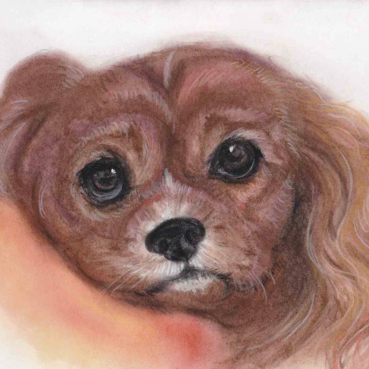 D2876897 9b08 47d2 9f81 30590c7267cc 1614001040984