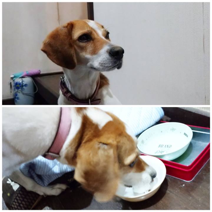 D28781ef ae81 4b9a b36f 2db817a339eb 1592476505676