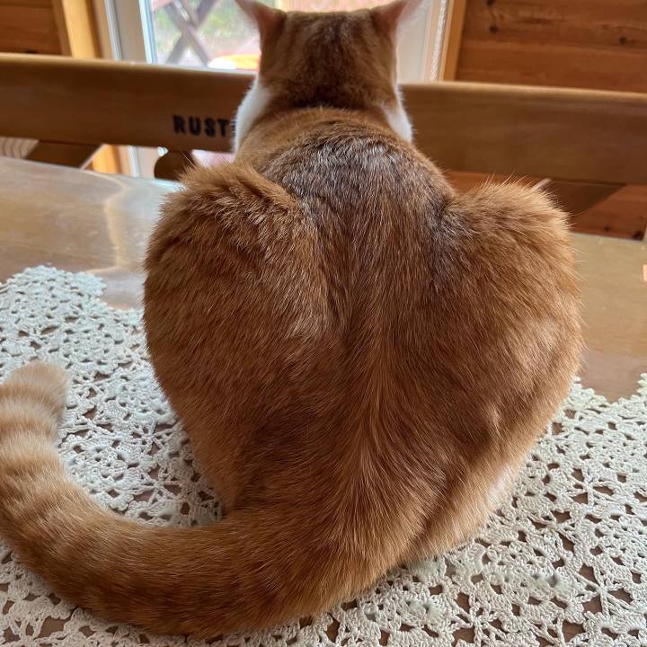 D28784c0 4724 4356 b71e e8727f3fac9d 1689579056171