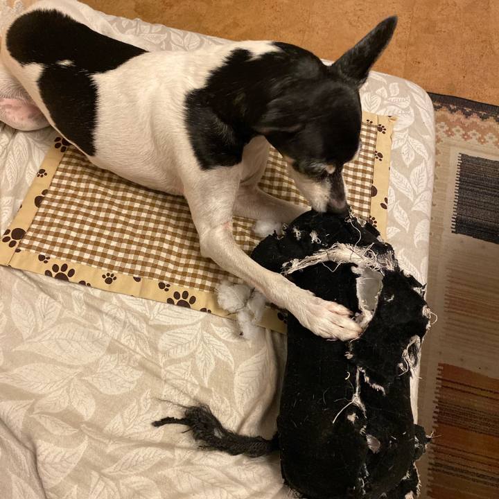 D2878f22 d685 47ca 8816 477847958495 1574336780196