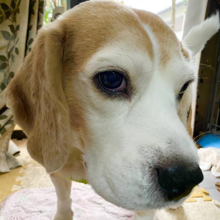 D287a36c 2917 473d 9e0b 68a47578588c 1583812339067