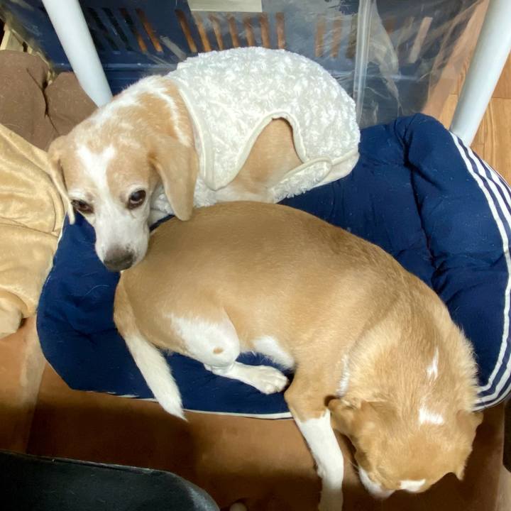 D287b729 ec10 4ed6 8714 21469cc37f9a 1611057620674