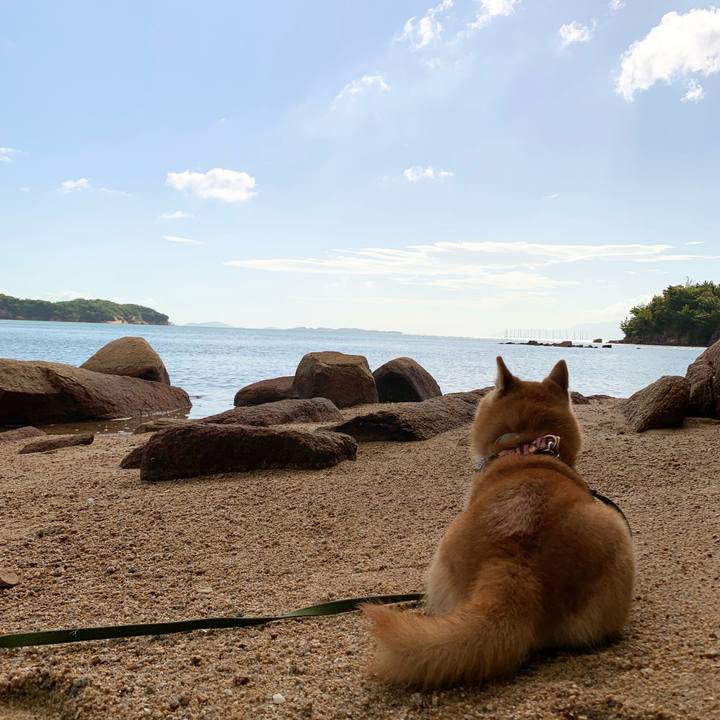 D287b746 a614 4786 a54f a3b19a444f69 1705714375124