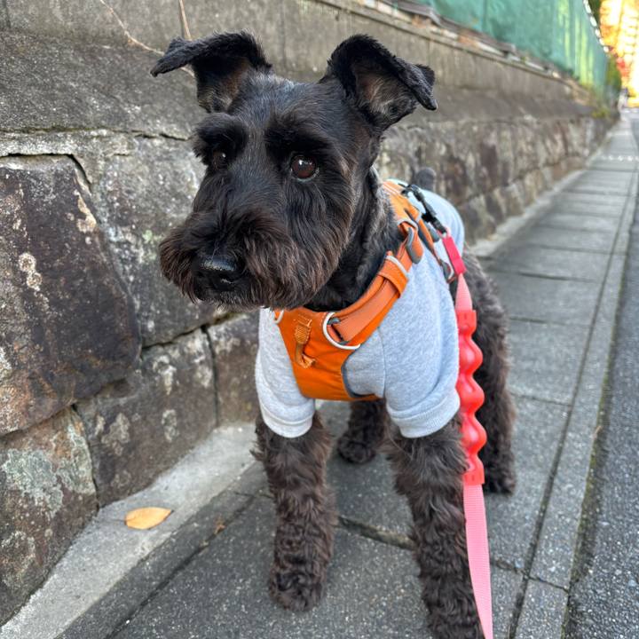 D288059a 7181 45c8 96db e6291a3443c3 1764378752519