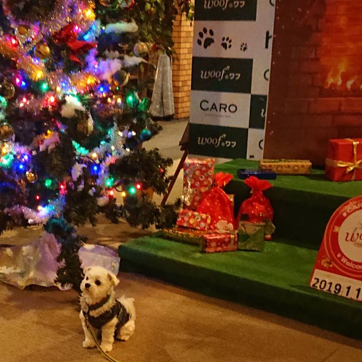 D2883171 83ac 4713 89bf 097f52f6418a 1575262405616