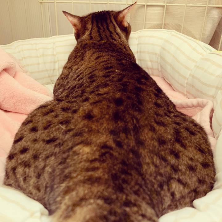 D2885c63 7597 4646 b872 ef1a29ad61c6 1631932977925