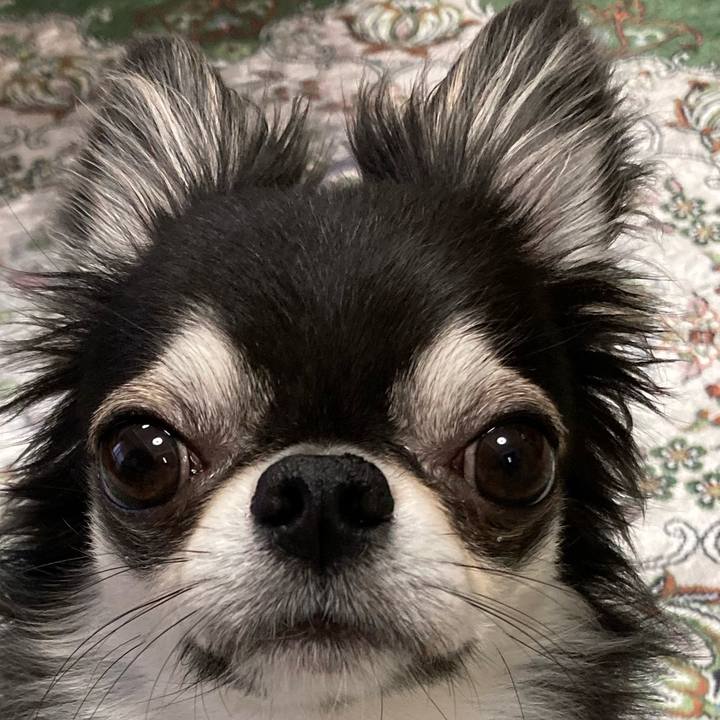 D2889de8 7879 49d0 9844 aa7eaae65b50 1652484871453