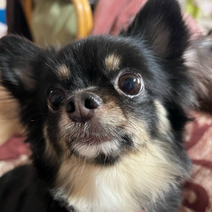 D288bb79 79db 4ea7 980e 431193ea09fa 1674982507617