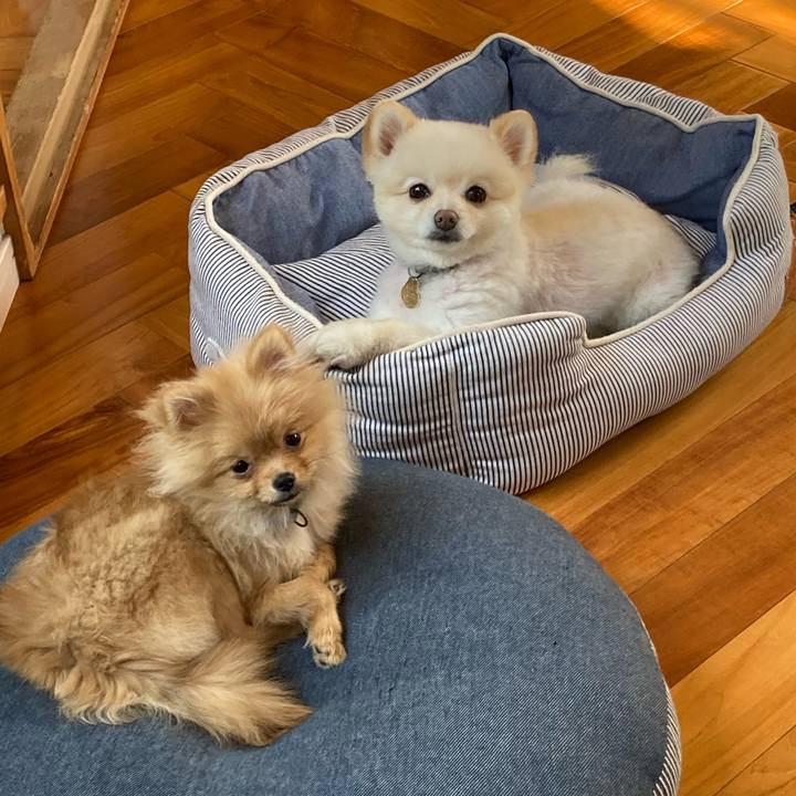 D288c575 e52b 4f45 a230 ad76e232a4c3 1642313192222