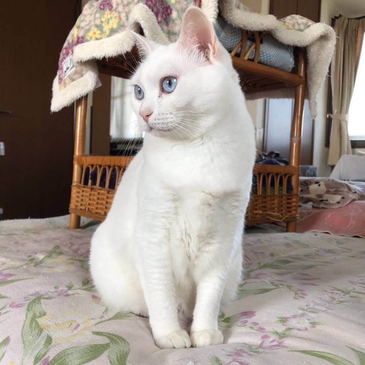 D288cd19 dea7 4062 800b d5367c9aa964 1602983320006