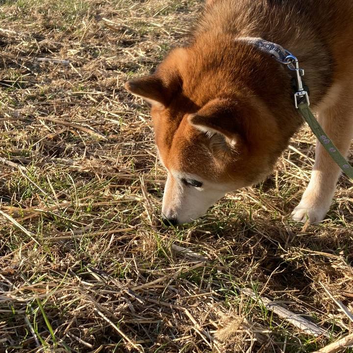 D288d3eb 5cce 4b9f 9c4e 68628b2658f7 1706745826497