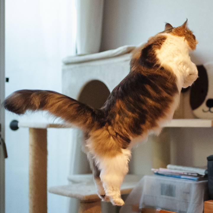 D288eb14 d02c 49ac a638 285359472ee0 1735027877229