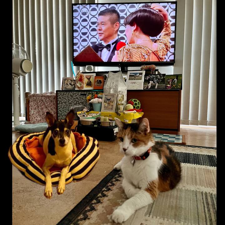 D2892fa0 2192 4b20 9eec 06ced5e39635 1689980751546