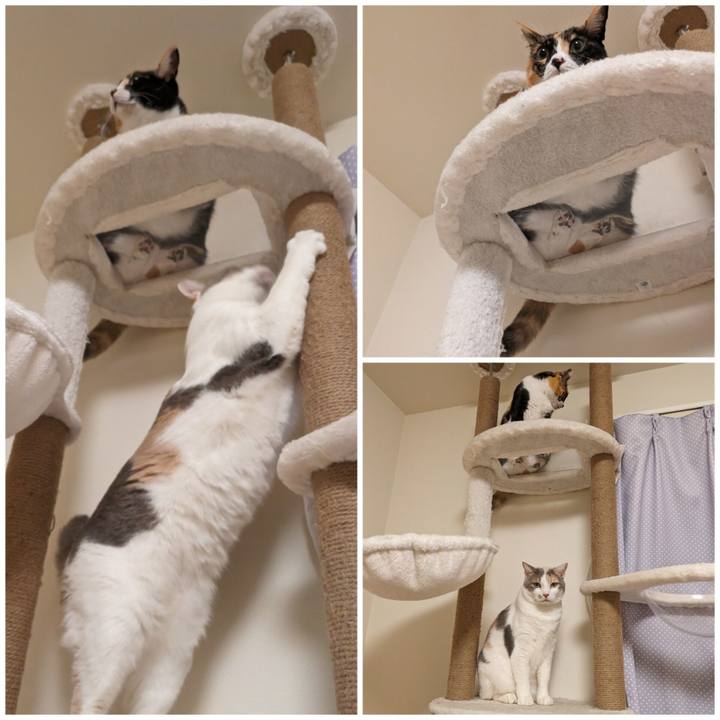 D28931ec 2a0a 4ead aeda 04ac4fe7f223 1701662053818