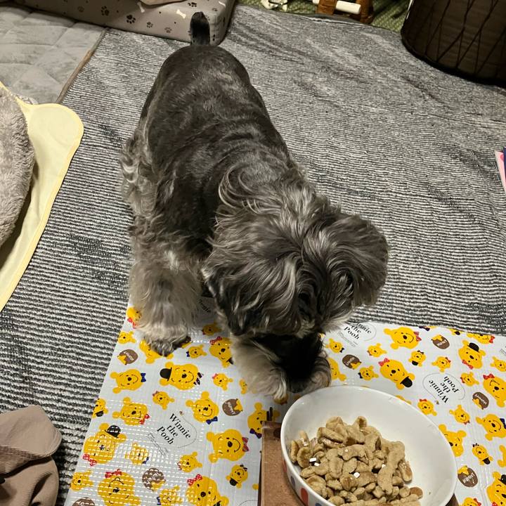 D2893d7f 700a 45a1 9586 6b856a6ae627 1773352132708