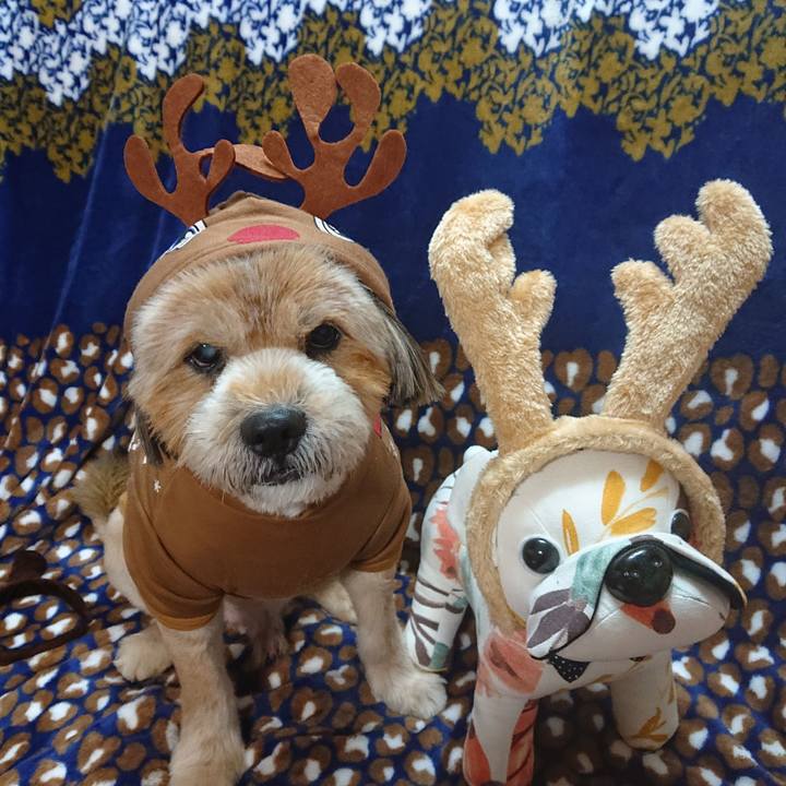 D28949c9 a1fc 41fb 9b39 6d97208920ec 1608803889767