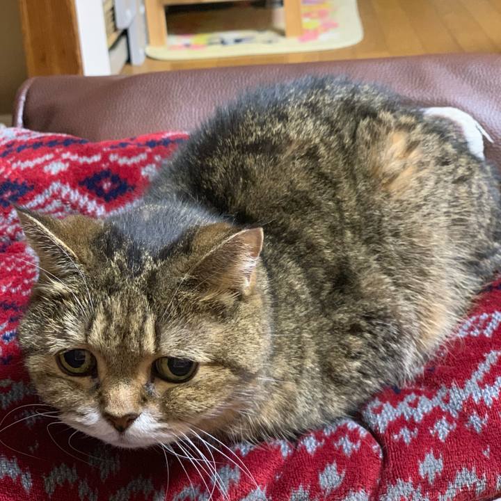 D28979a5 dcd1 45fb 8c5e 165faf6df757 1540464283945