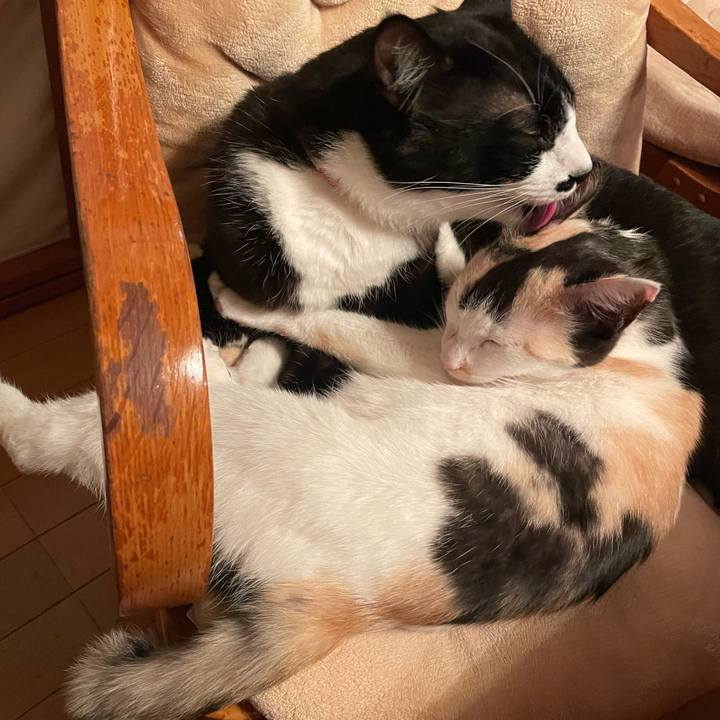 D289a225 9f82 4f7a aac9 327381413bee 1679664854951