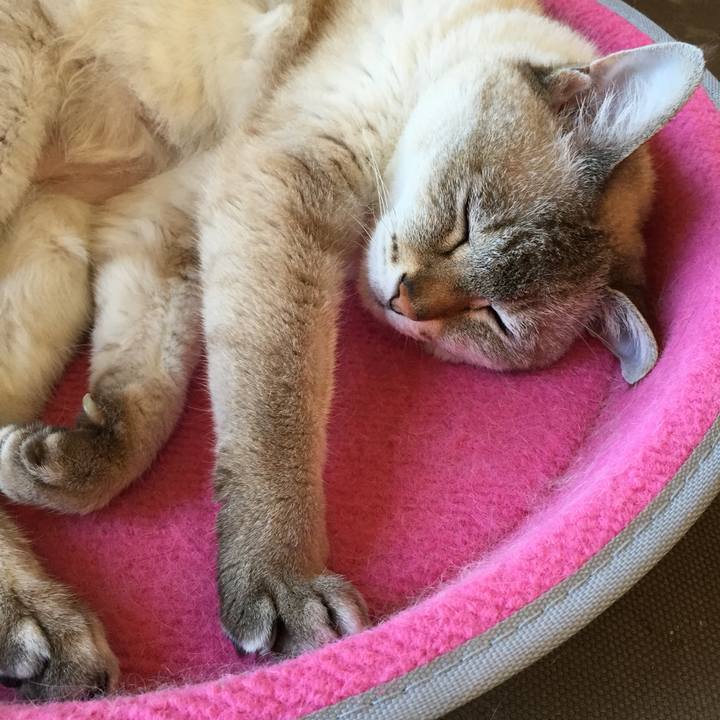 D289bb99 5452 448a a6fd 3ad4aeac8939 1530692350077