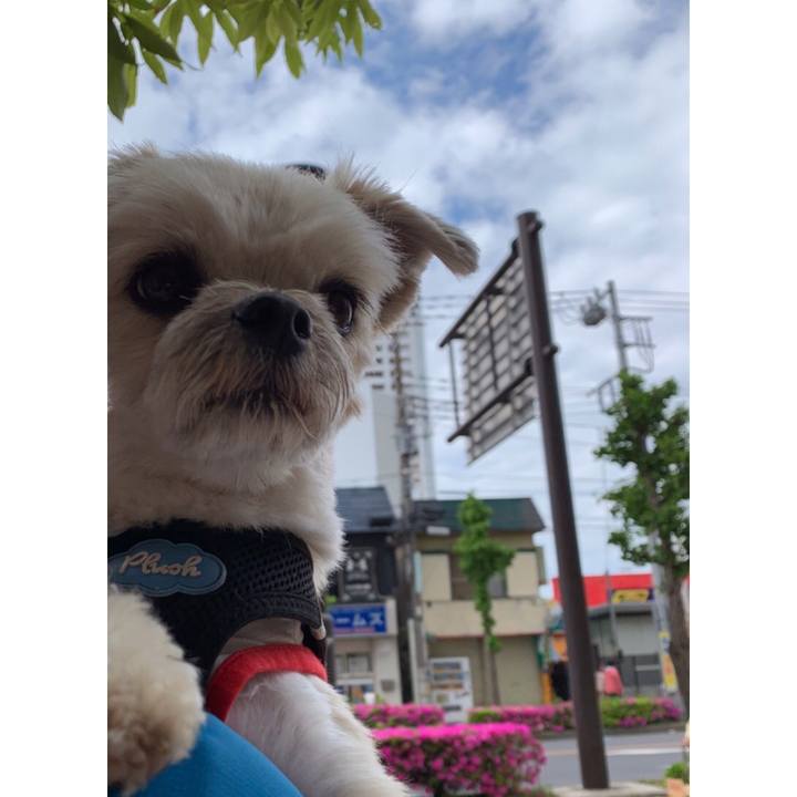 D289ef3b 4357 409f 8109 a0aa020cac7f 1557227869681