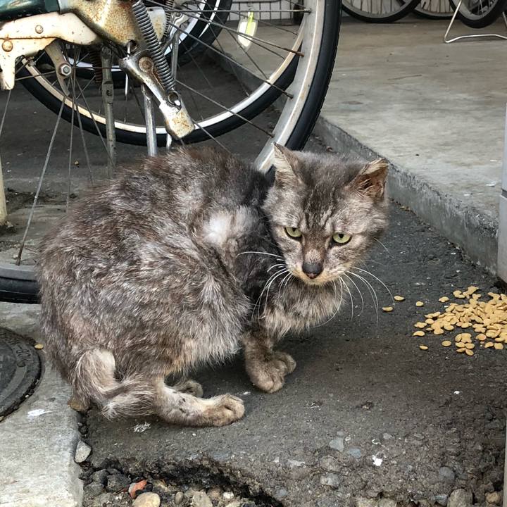 D28a0a29 ea26 4fff b12f d4ec5ed81681 1519634384936